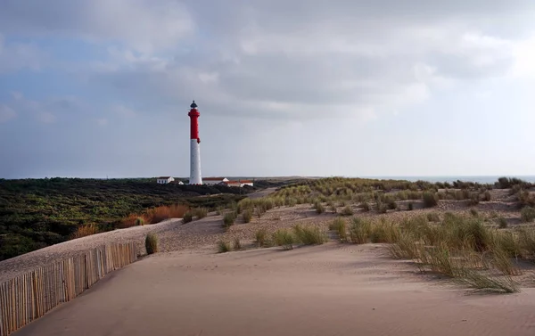 Charente deniz kıyılarında de laccoubre feneri