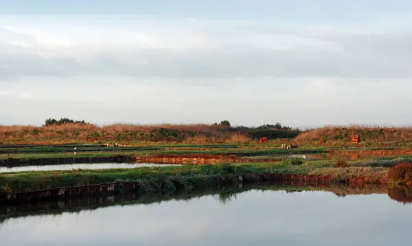 シャラント海上でカキ養殖場 — ストック写真