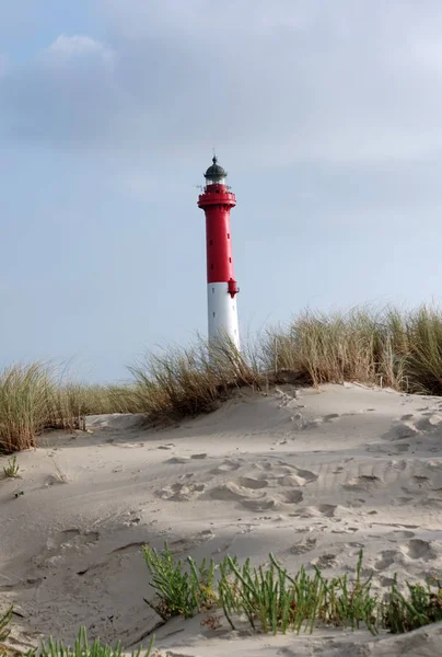 phare de la Coudre Deniz feneri Charente Deniz Kıyısı