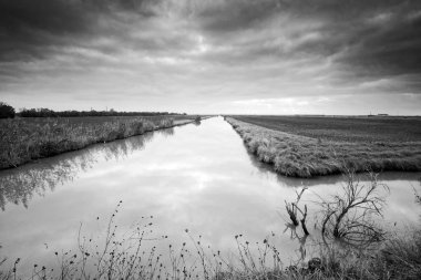 Siyah beyaz görünümü Charente deniz bataklık                               