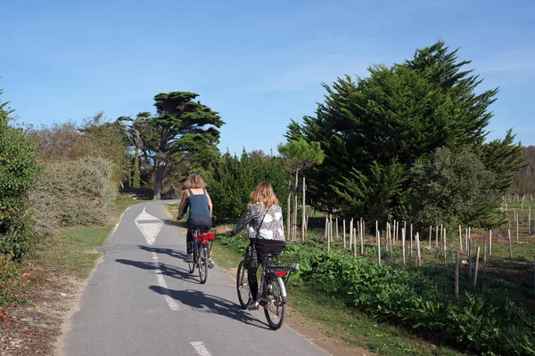 Bisiklete binmek Ile de R Adası  