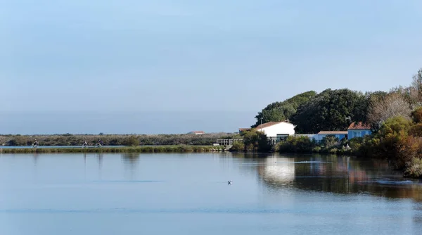 Ile de Re Adası bataklık 