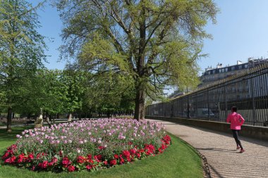 Paris'te bir Lüksemburg Bahçesi