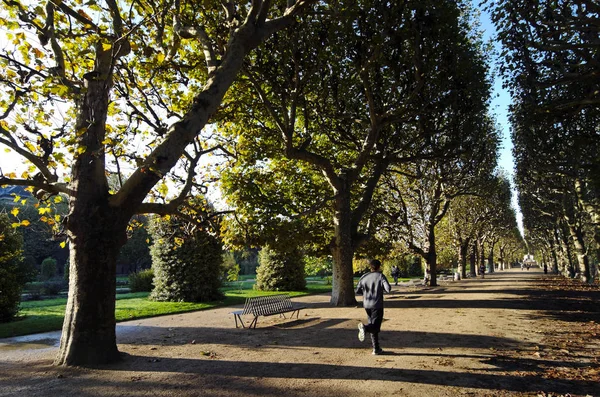 Tuin Van Jardin Des Plantes Parijs — Stockfoto