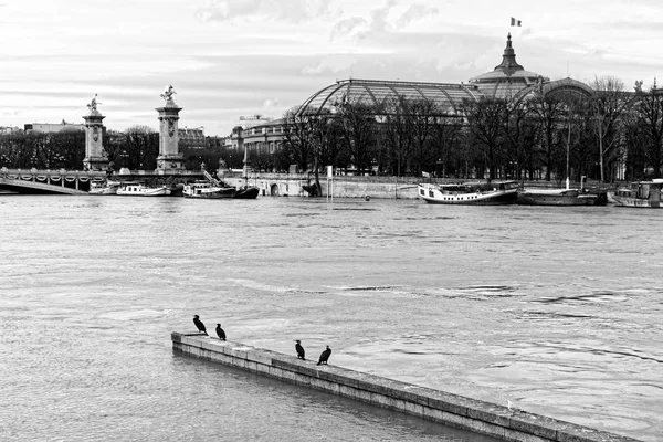 Seine Řece Povodeň Poblíž Mostu Alexandre Iii Paříži — Stock fotografie