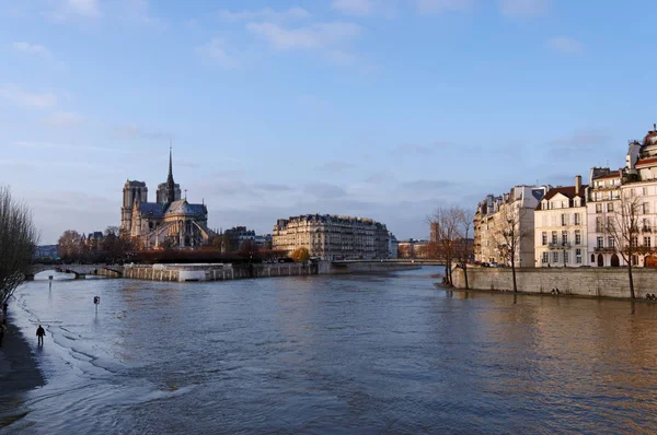 Powódź Rzeki Sekwany Pobliżu Katedry Notre Dame Paryżu — Zdjęcie stockowe