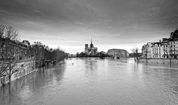 Inundación Del Río Sena Cerca Catedral Notre Dame París —  Fotos de Stock