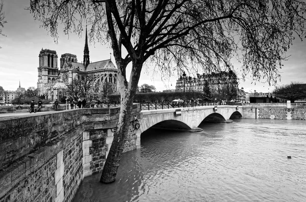 Fllood Řeky Seiny Katedrály Notre Dame Paříži City — Stock fotografie