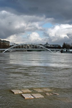 Paris'te Seine Nehri quay batık