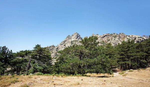   Bavella geçmek Corsica dağda                             