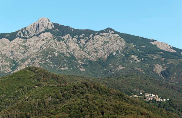 Castagniccia Wald Und San Petrone Berg Korsika — Stockfoto