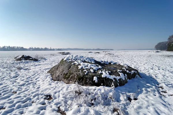 Fransız Gatinais bölgesel doğa parkı kar altında                                     