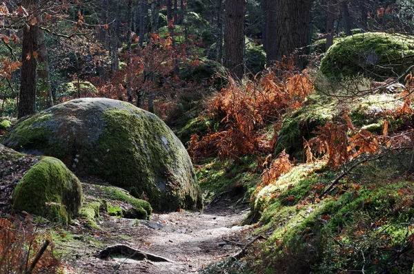 St Germain rock Denecour mavi iz kış sezonu