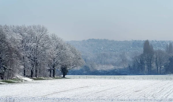Fransız Gatinais bölgesel doğa parkı kar kış sezonu altında