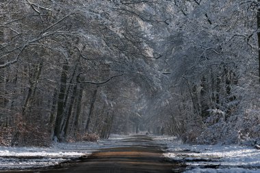 Fontainebleau orman kar altında BARBIZON yolu