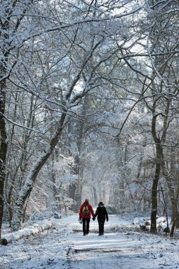 Apremont gorges fontainebleau orman kar altında yürüyüş yolu
