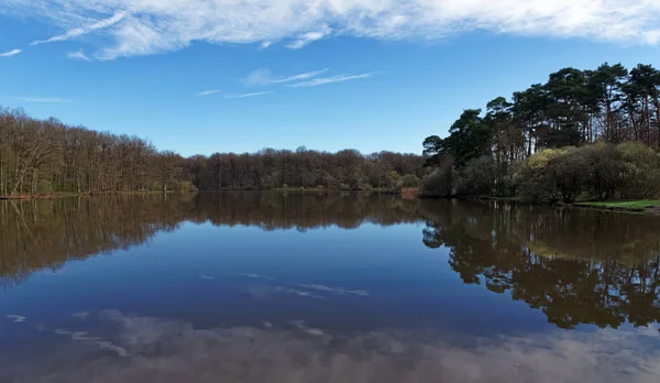 Etang Rybník Lese Rambouillet — Stock fotografie