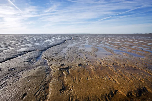    Charente river Haliç düşük tide                               