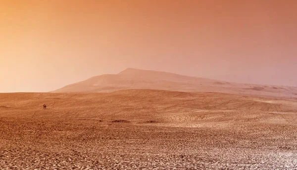 Pile of kabuklarıyla kum fırtınası