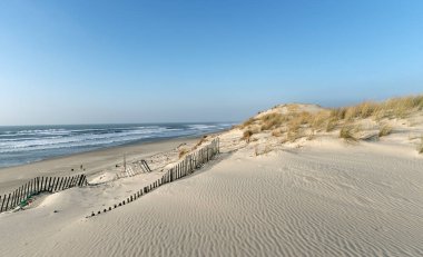 Gironde'nın Batı Kıyısı Hourtin beach.