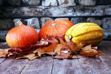 Şükran günü arka plan: kabaklar ve düşen yapraklar üzerinde ahşap ba
