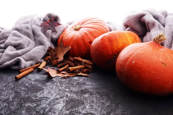Thanksgiving pumpkins with fall leaves and cosy knitted blanket — Stock Photo, Image