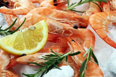 Ham taze karides Langostino Austral. limon ile deniz ürünleri karides bir
