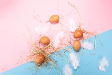 Yumurta. Taze çiftlik yumurtaları düz renkli kağıt üzerinde yatıyordu.