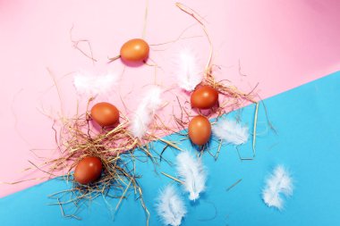 Yumurta. Taze çiftlik yumurtaları düz renkli kağıt üzerinde yatıyordu.