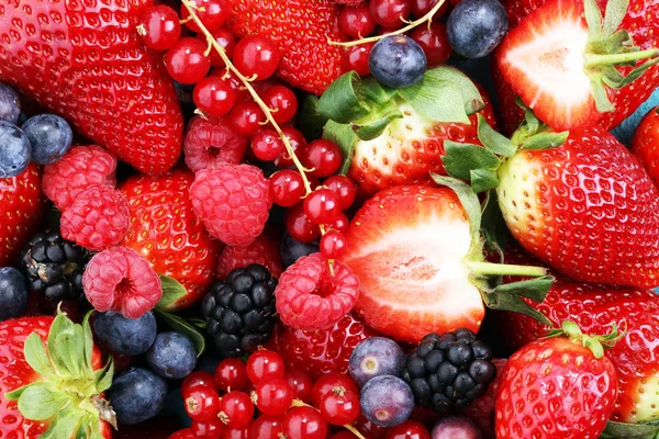 Berries overhead closeup colorful assorted mix of strawberry, bl — Stock Photo, Image