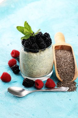 Sağlıklı berry chia puding dağınık meyve bir kavanoza izole