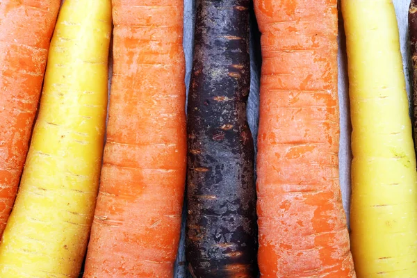 Karottenstapel. Kiste mit gemischt frisch geernteten bunten Karotten. — Stockfoto