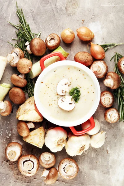 Свежий вкусный грибной суп со свежими и здоровыми шампанскими — стоковое фото