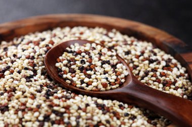 Tahta kaşıkta kırmızı, beyaz ve kahverengi kinoa seti. Şerefe.