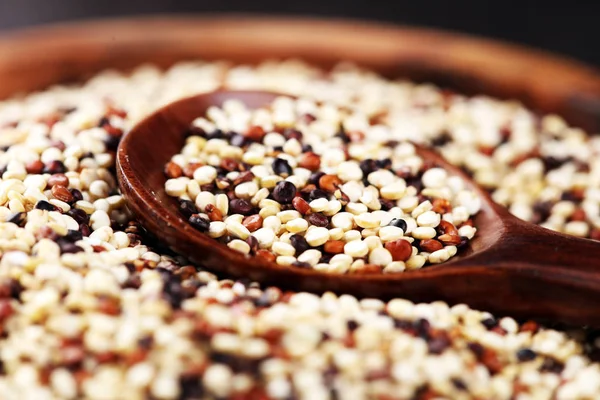 Conjunto de quinoa Quinoa vermelha, branca e marrom em uma colher de madeira. febre aftosa — Fotografia de Stock
