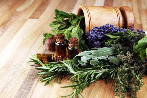 Herbal segar dari kebun dan berbagai jenis minyak untuk — Stok Foto