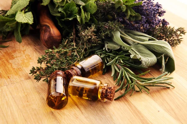 Fresh herbs from the garden and the different types of oils for — Stock Photo, Image