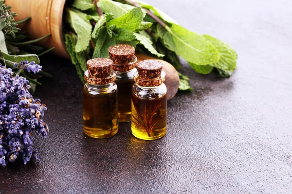 Fresh herbs from the garden and the different types of oils for — Stock Photo, Image