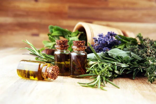 Fresh herbs from the garden and the different types of oils for — Stock Photo, Image