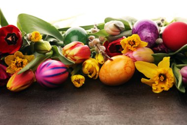 Bahar dekorasyonu için çiçek açan nergisler ve paskalya yumurtaları.