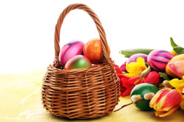 Bahar dekorasyonu için çiçek açan nergisler ve paskalya yumurtaları.