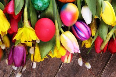 Bahar dekorasyonu için çiçek açan nergisler ve paskalya yumurtaları.