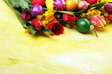 Bahar dekorasyonu için çiçek açan nergisler ve paskalya yumurtaları.