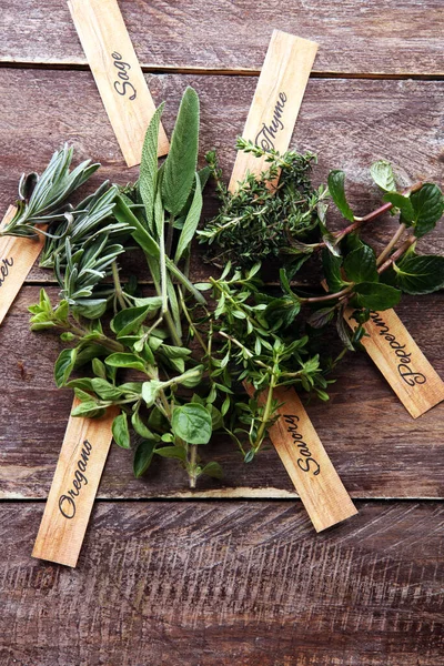 土生土长的和芳香的草本植物 在乡村背景 绿色生长的鼠尾草 食人鱼 百里香 薄荷和食人鱼 带有标签 — 图库照片