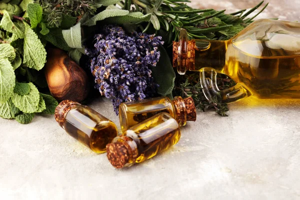 Fresh Herbs Garden Different Types Oils Massage Aromatherapy Table Set — Stock Photo, Image