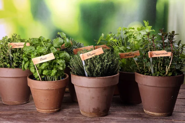 Homegrown Aromatische Kruiden Oude Potten Klei Set Van Culinaire Kruiden — Stockfoto