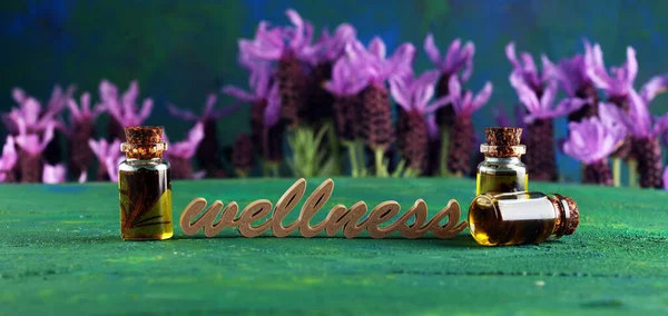 Lavendelkräuteröl Und Lavendelblüten Flasche Lavendel Massageöl Für Aromatherapie Und Wellness — Stockfoto