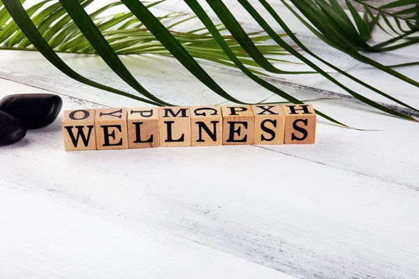 Wellness Sign Wooden Cubes Leaves Stones Relax Therapy Spa Wellness — Stock Photo, Image