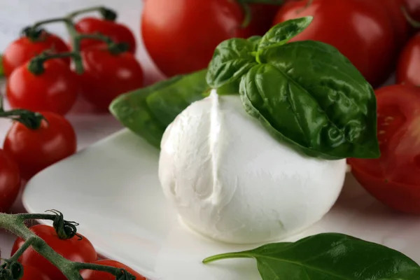 Mozzarella Comida Italiana Tradicional Bola Branca Mussarela Búfalo Queijo Macio — Fotografia de Stock