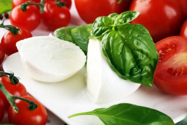 Mozzarella. Geleneksel İtalyan yemekleri - beyaz top mozzarella bufalo İtalyan yumuşak peyniri domates, fesleğen, zeytinyağı